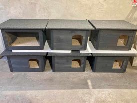 Kocie Kolonie na świecie?