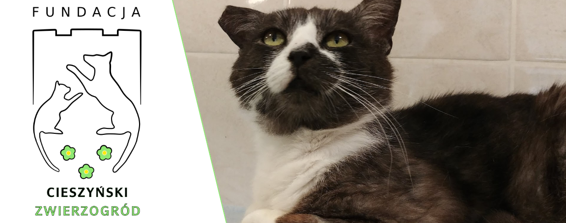 Fundacja Cieszyński Zwierzogród