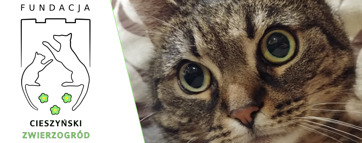 Fundacja Cieszyński Zwierzogród